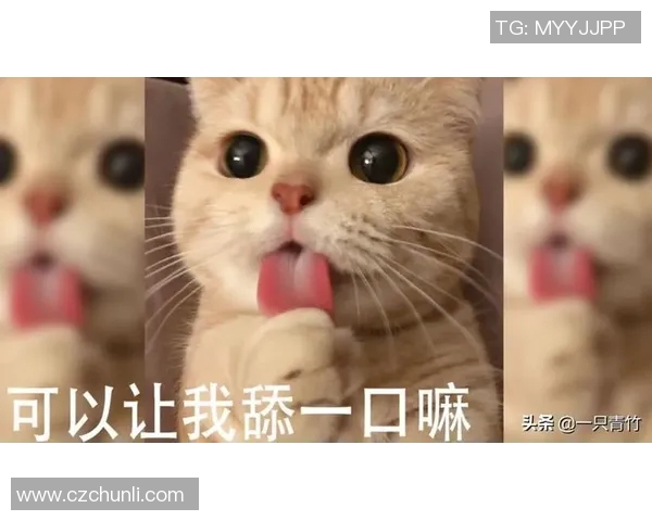 足球明星与猫猫的可爱互动视频让你心动不已快来一起欣赏吧 足球明星与猫猫的可爱互动视频让你心动不已快来一起欣赏吧