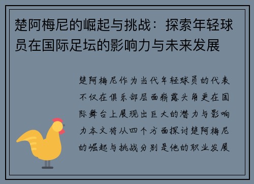 楚阿梅尼的崛起与挑战：探索年轻球员在国际足坛的影响力与未来发展